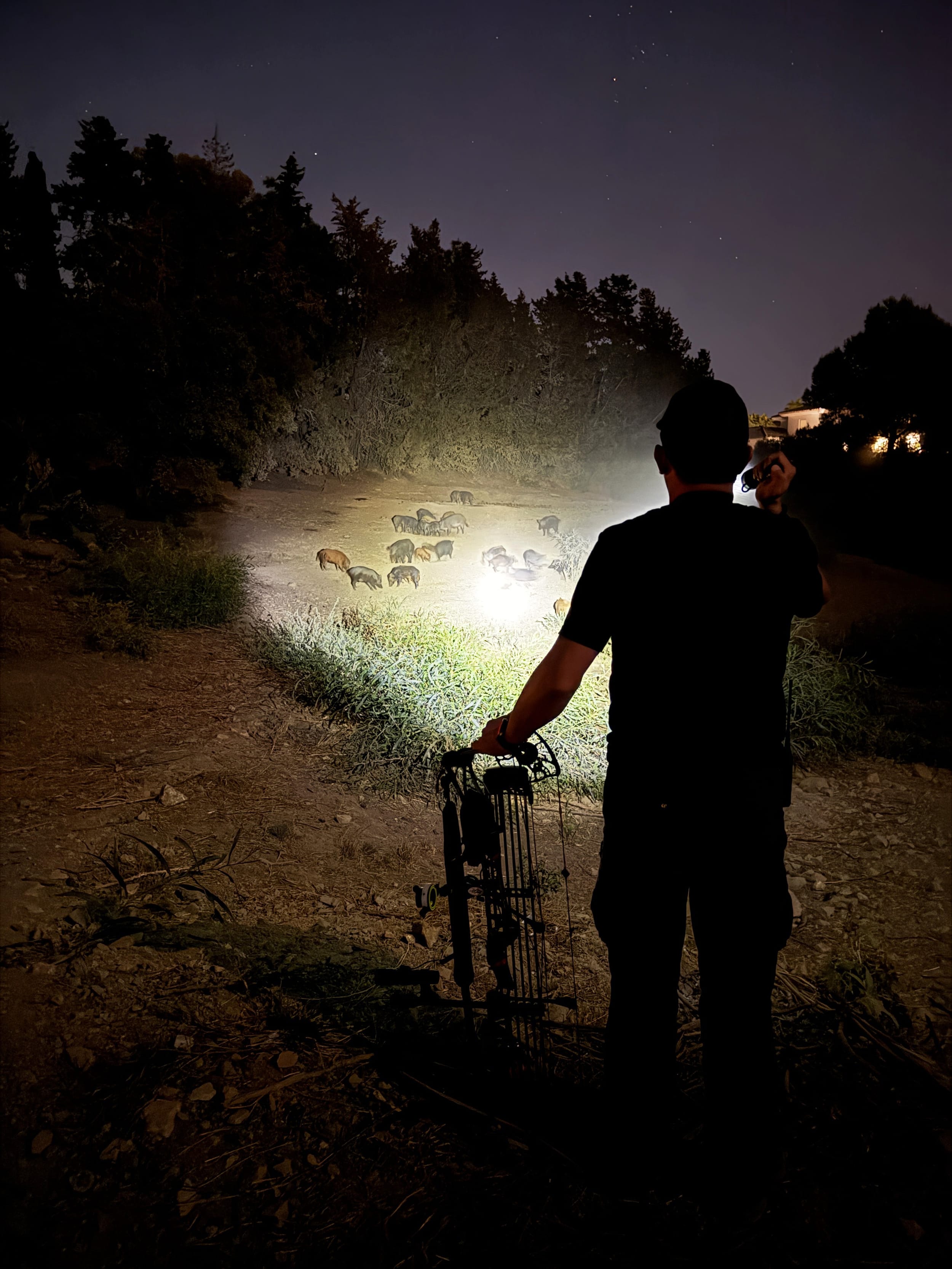 Das Schweineparadies im Villenviertel